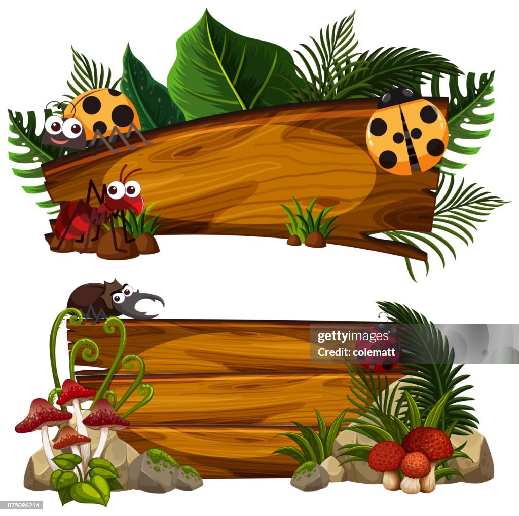 Insects Signange Two Wooden Signs With Many Insects High-Res Vector Graphic - Getty Images