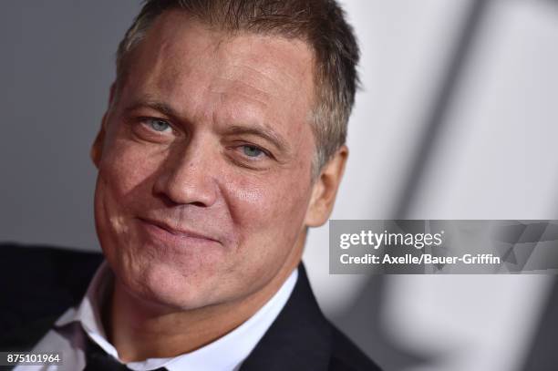 Actor Holt McCallany arrives at the premiere of Warner Bros. Pictures' 'Justice League' at Dolby Theatre on November 13, 2017 in Hollywood,...