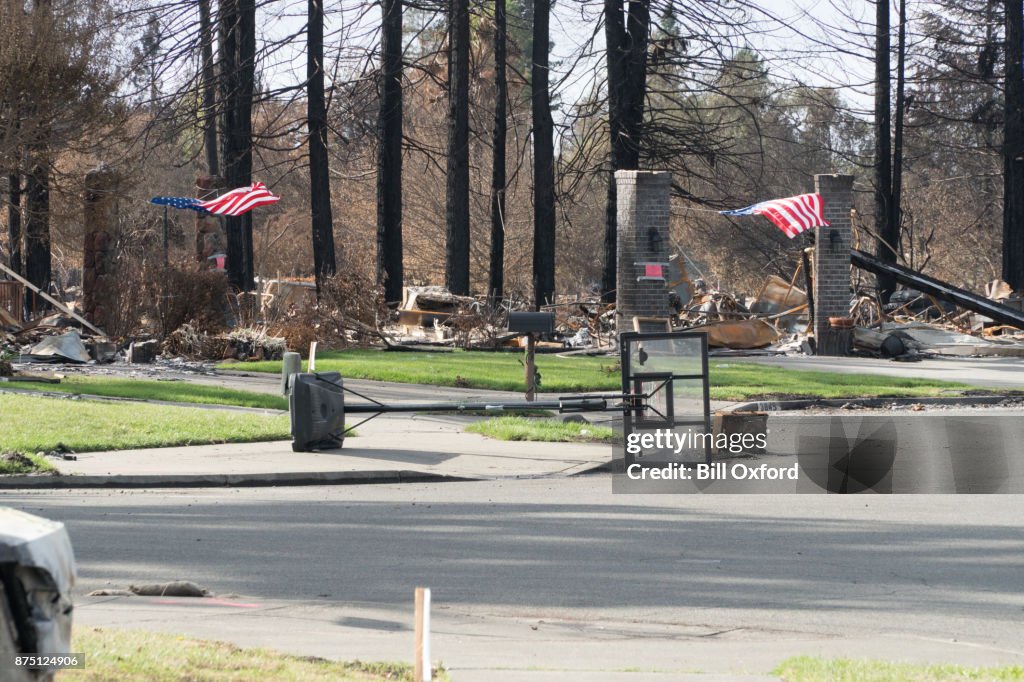 Burned Neighborhood