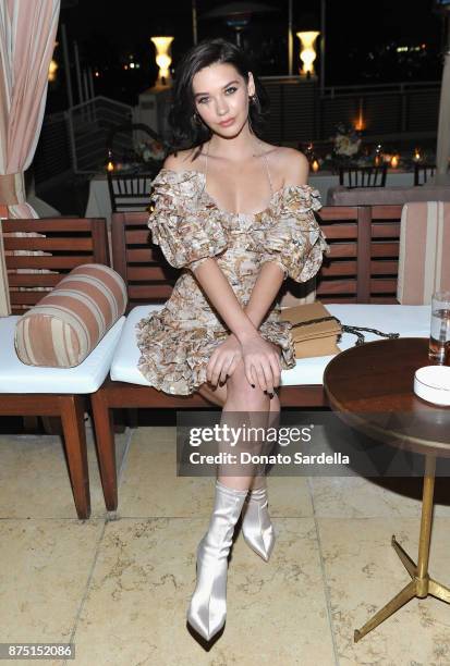 Amanda Steele at Zimmermann Los Angeles Dinner at Sunset Tower on November 16, 2017 in West Hollywood, California.