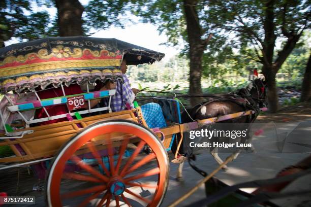 horse-drawn carriage excursion for passengers of ayeyarwady (irrawaddy) river cruise ship anawrahta (heritage line), ava (innwa), mandalay, myanmar - ava stock pictures, royalty-free photos & images