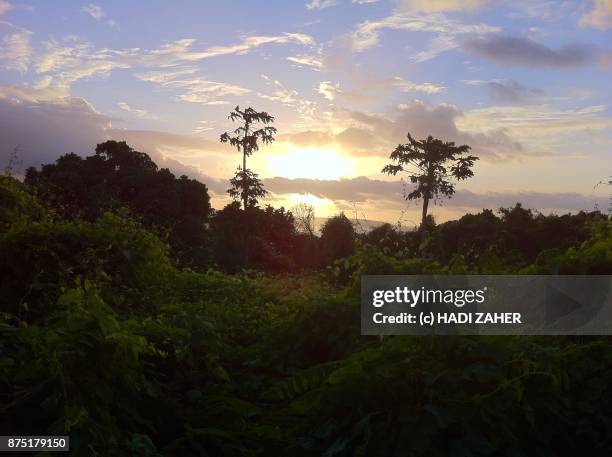 tropical sunset | christmas island | australia - isla christmas fotografías e imágenes de stock