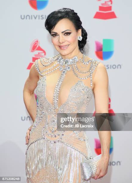 Maribel Guardia attends the 18th Annual Latin Grammy Awards on November 16, 2017 in Las Vegas, Nevada.