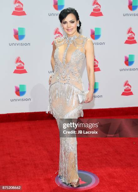 Maribel Guardia attends the 18th Annual Latin Grammy Awards on November 16, 2017 in Las Vegas, Nevada.