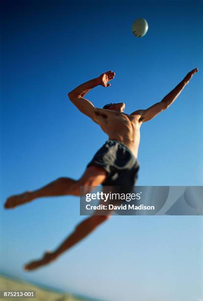 beach volleyball, man serving, low angle view - boxer shorts stock pictures, royalty-free photos & images