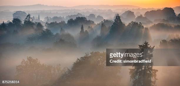 dawn mist in the surrey hills - surrey england stock pictures, royalty-free photos & images