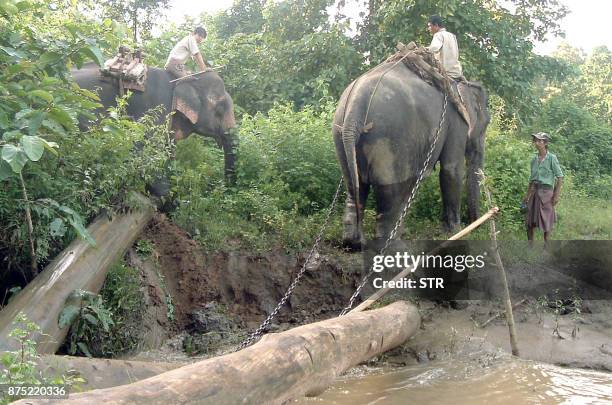 Myanmar-wildlife-elephants-timber" by Mony Chris This undated photo taken in a forest in Myanmar shows workers using elephants for logging. Elephants...