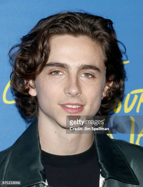 Actor Timothee Chalamet attends the screening of Sony Pictures Classics' "Call Me By Your Name" hosted by Calvin Klein and The Cinema Society at...