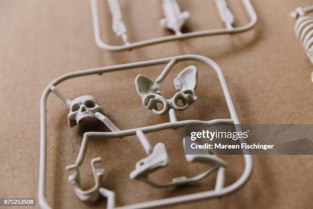 unassembled models of skull, pelvis and hips of the human body freshly out of the mold - mareen fischinger stock pictures, royalty-free photos & images