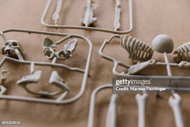 unassembled models of skull and bones of the human body freshly out of the mold - mareen fischinger stock pictures, royalty-free photos & images