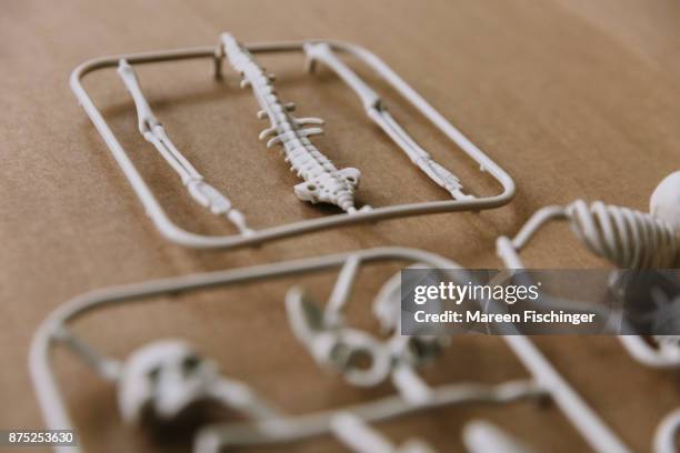 unassembled models spine and other bones of the human body freshly out of the mold - mareen fischinger stock pictures, royalty-free photos & images