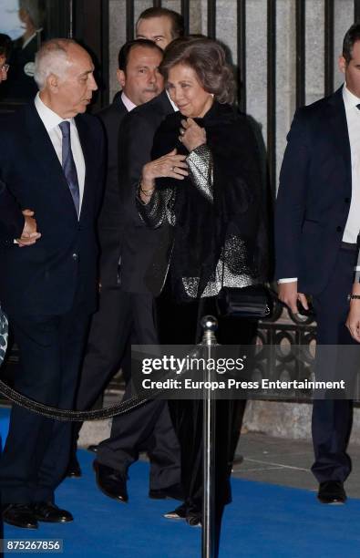 Queen Sofia attends the 32nd edition of BMW Painting Award at the Royal Theatre on November 16, 2017 in Madrid, Spain.