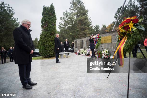 In this handout photo provided by the German Government Press Office , German President Frank-Walter Steinmeier and Slovakian President Andrej Kiska...