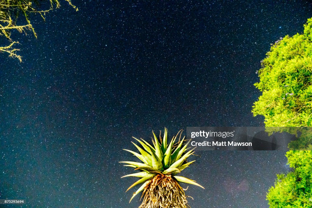 Night sky and the Milky Way in South Africa the Southern Hemisphere