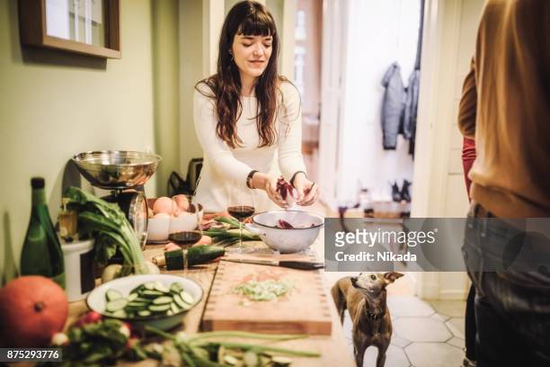 junge frau mit hund in küche zubereitung - christmas cooking stock-fotos und bilder