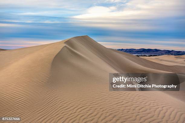 dune - duna de arena fotografías e imágenes de stock