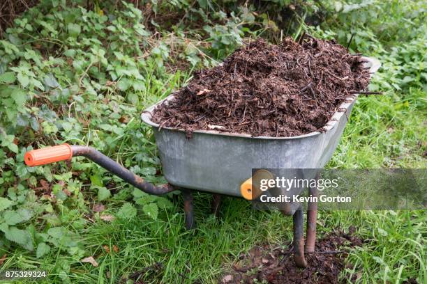 compost in garden wheelbarrow - compost stock pictures, royalty-free photos & images