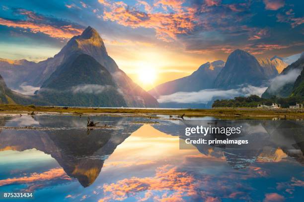 de milford sound fjord. nationaalpark fiordland, nieuw-zeeland - fjord stockfoto's en -beelden
