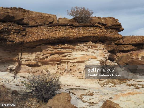 cubby holes in wandstone wall, glen canyon national recreation area, az - cubbyhole stock pictures, royalty-free photos & images