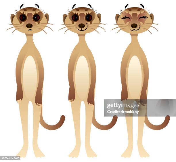 meerkat - meerkat vector stock illustrations