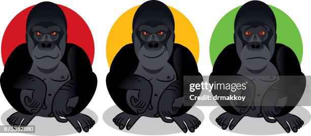 gorilla - gorilla rwanda stock illustrations