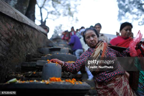 Nepalese devotees offering holy grains 'Satbij' mixed of 7 types of grain on the occasion of Bala Chaturdashi festival celebrated in the premises of...