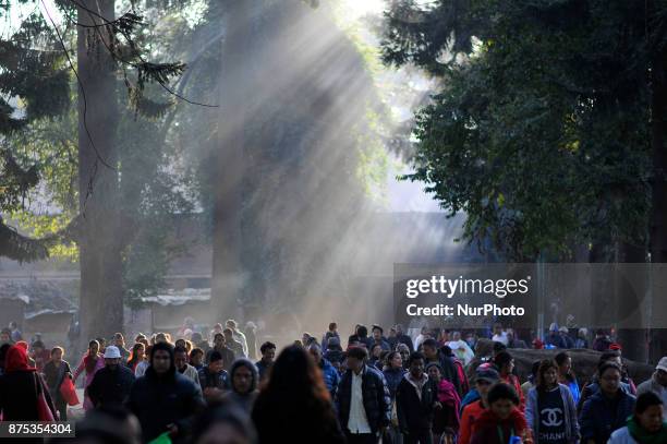 Nepalese devotees offering holy grains 'Satbij' mixed of 7 types of grain on the occasion of Bala Chaturdashi festival celebrated in the premises of...