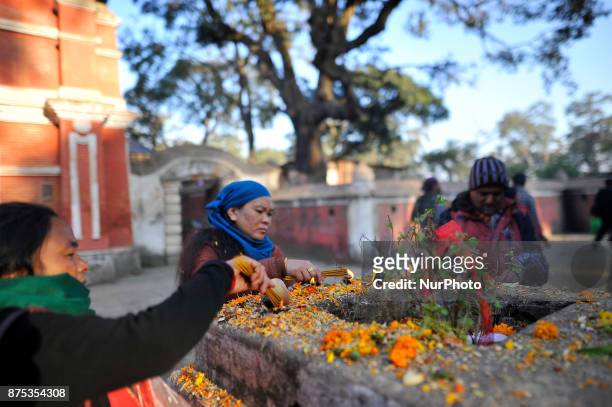 Nepalese devotees offering ritual prayer and offering fragrances sticks on the occasion of Bala Chaturdashi festival celebrated in the premises of...