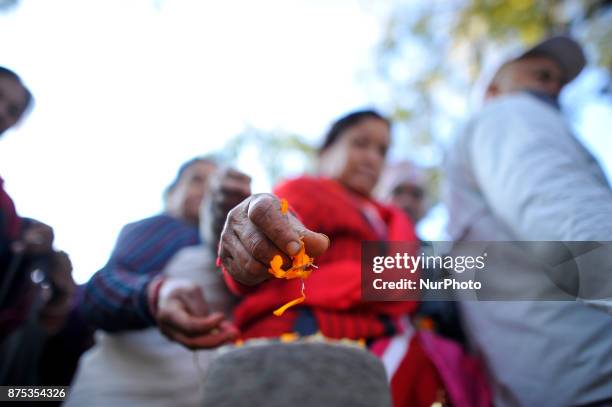 Nepalese devotees offering holy grains 'Satbij' mixed of 7 types of grain on the occasion of Bala Chaturdashi festival celebrated in the premises of...