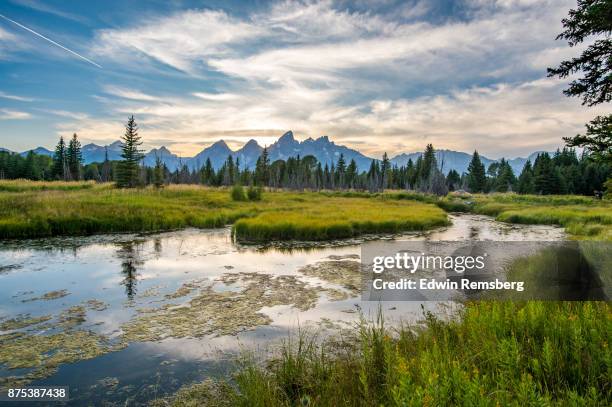 wetlands and wild skies - watershed 2017 stock pictures, royalty-free photos & images
