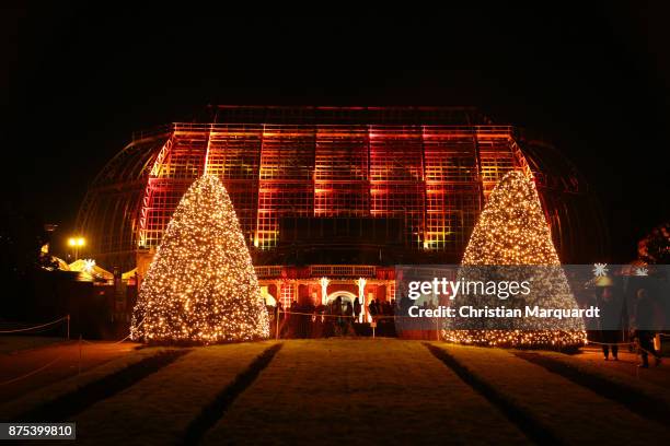 General view of light installations during the opening of the Christmas Garden Berlin at Botanischer Garten on November 17, 2017 in Berlin, Germany.