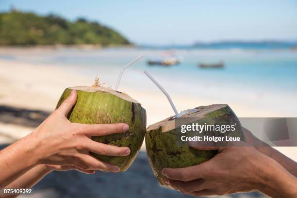 two hands with fresh drinking coconuts at maung shwe lay village, near ngapali, thandwe, myanmar - coconut water stock pictures, royalty-free photos & images