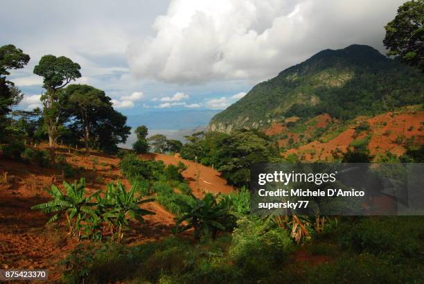 red soil with crops, villages and montane rainforests - agroforestry stockfoto's en -beelden