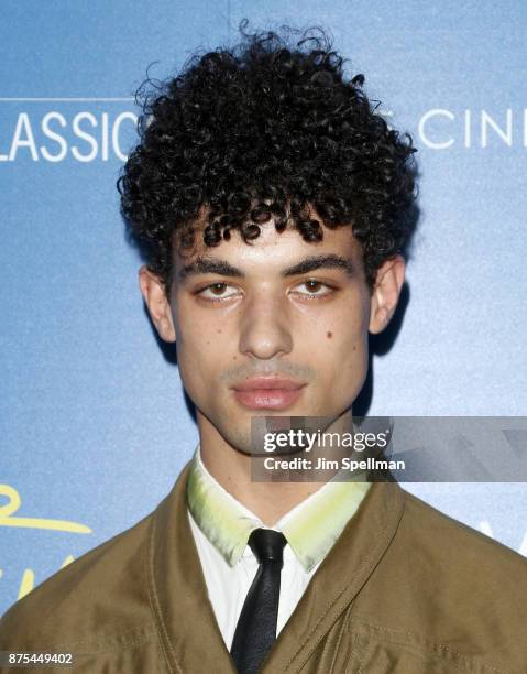 Model Malik Alain attends the screening of Sony Pictures Classics' "Call Me By Your Name" hosted by Calvin Klein and The Cinema Society at Museum of...