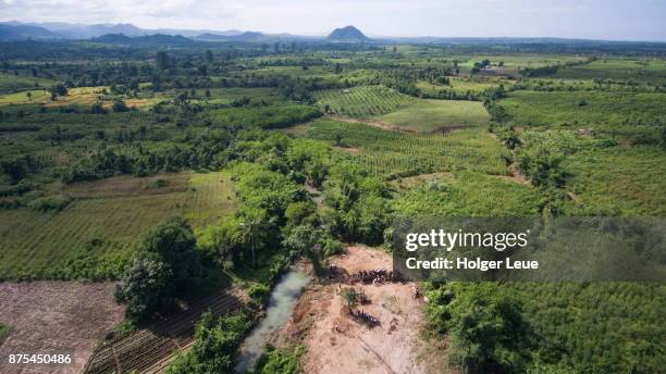 aerial of wa byu gaung elephant camp and lush jungle landscape, near thabeikkyin, mandalay, myanmar - mandalay foto e immagini stock