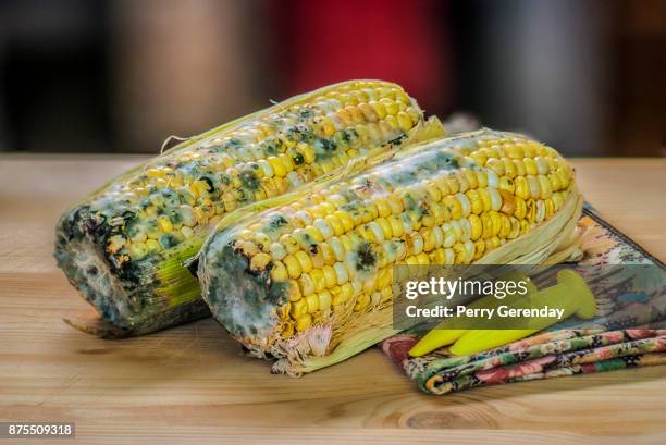 Muddle Corn 27 Moldy Corn Stock Photos, High-Res Pictures, and Images - Getty Images