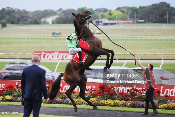 Jockey Mick Dee holds on as Consommateur rears the in the mounting yard before Race 7 the Quatclean Zipping Classic during Melbourne Racing at...