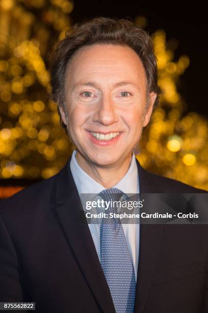 Stephane Bern attends Stephane Bern and 'Comite Montaigne' Launches Christmas Lights at Montaigne Avenue in Paris on November 17, 2017 in Paris,...