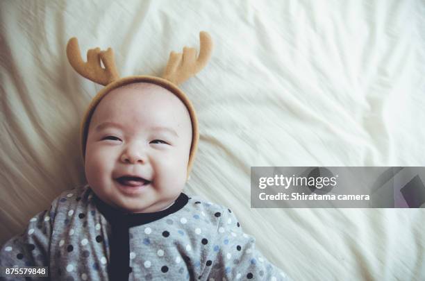 baby reindeer - reindeer horns stock pictures, royalty-free photos & images