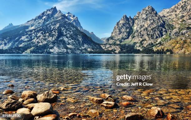 jenny lake view - jenny lake stock-fotos und bilder