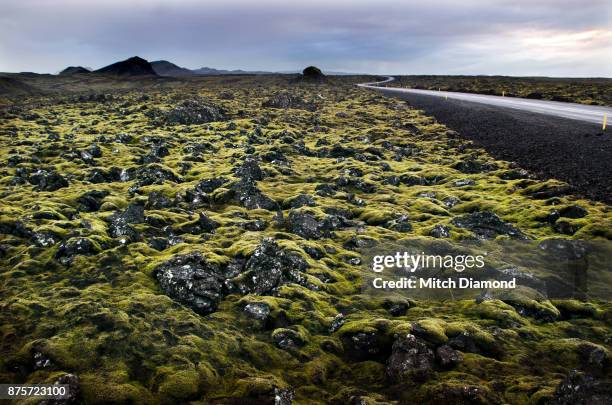 moss-covered lava - road reflector stock pictures, royalty-free photos & images