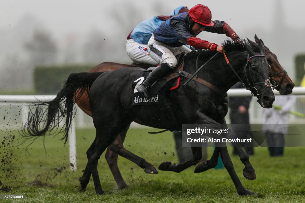 Cheltenham Races