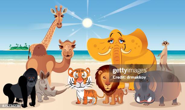 animals and beach - pure bred cat stock illustrations
