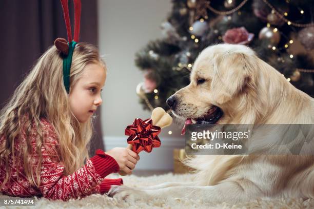 kerst - dog with a bone stockfoto's en -beelden