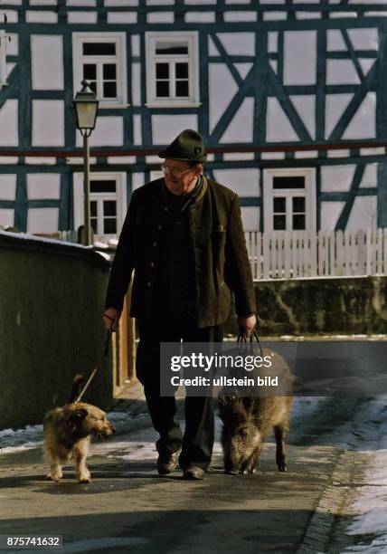 Älterer Mann in Lodenkleidung beim Spaziergang mit einem Hund und einem Wildschwein an der Leine in einem Ort im Taunus - 1994