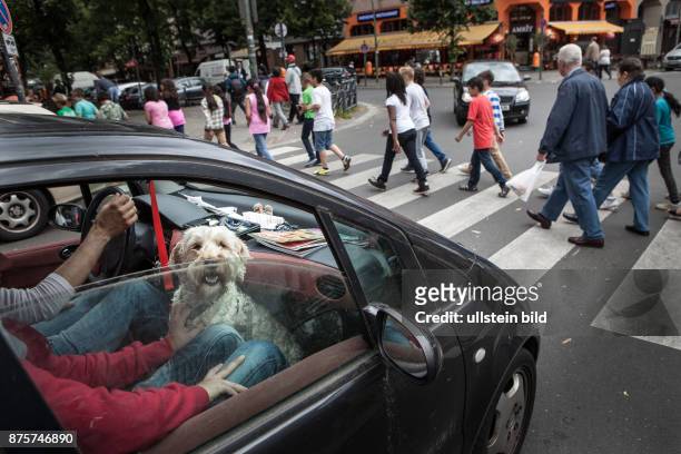 Deutschland Germany Berlin Ein Hund, der im Fussraum eines Autos sitzt, schaut aus dem halboffenen Fenster während eine Schülergruppe einen...