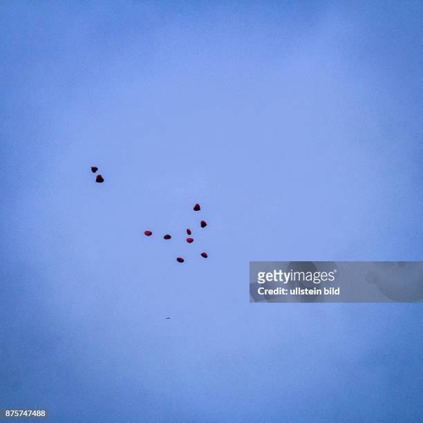 Deutschland Germany Koblenz Herzförmige Ballons steigen in den blauen Himmel auf. Eine Hochzeitsgesellschaft hatte sie am Deutschen Eck aufsteigen...