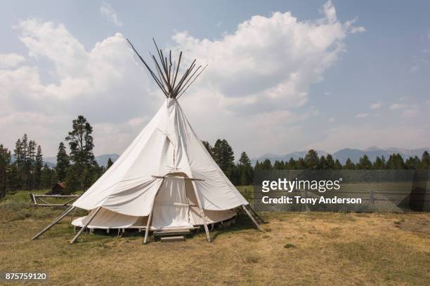 teepee in mountain valley - teepee stock pictures, royalty-free photos & images