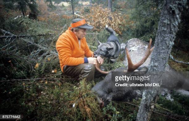 Moose hunting, man with rifle and German shepherd dog