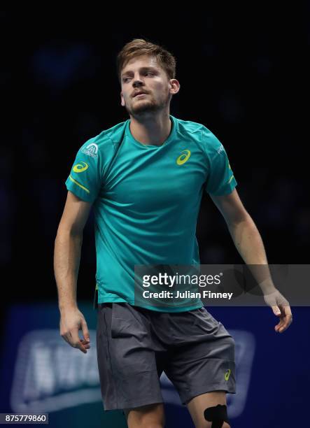 David Goffin of Belgium celebrates defeating Roger Federer of Switzerland in the semi finals during day seven of the Nitto ATP World Tour Finals...